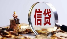 成都借钱私借空放直接上门-成都借钱信用贷款办理-成都借钱私人借钱