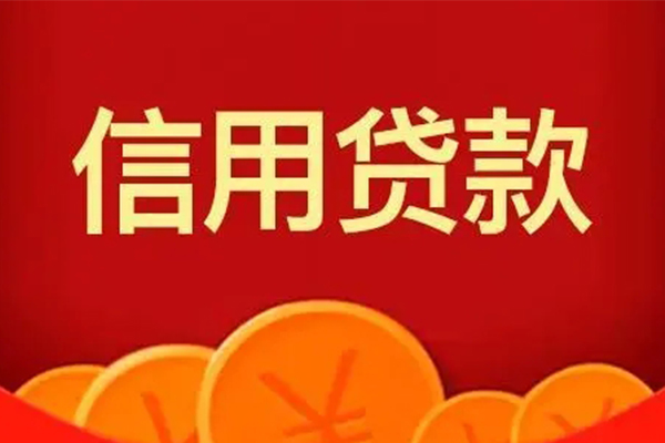 成都借钱个人私借